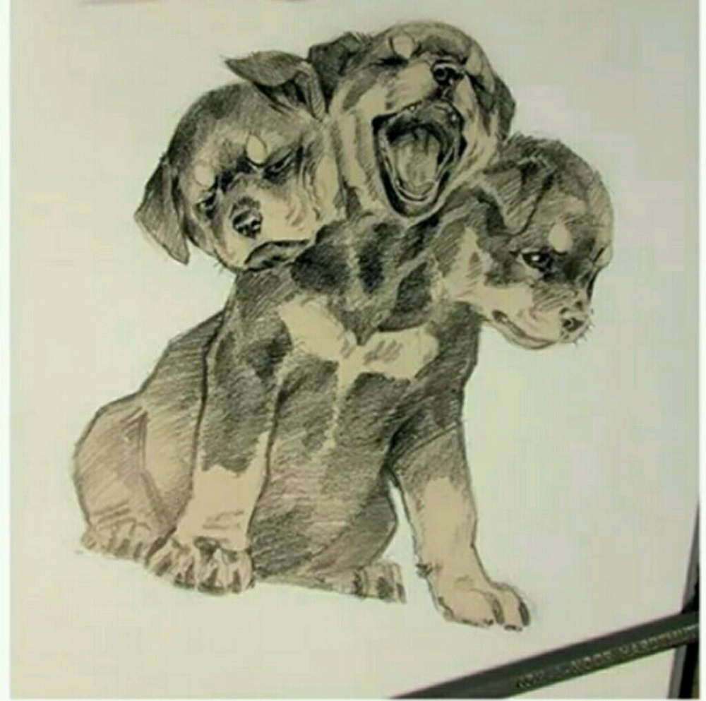 Meet your Posher, Haily